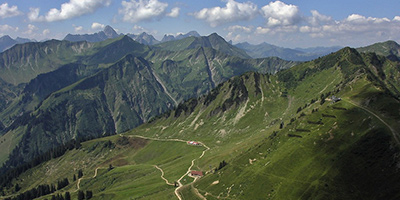 Fellhorn