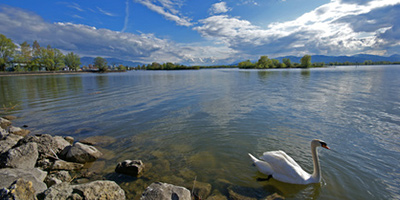 Lindau