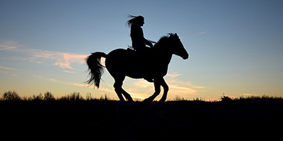 Reiten